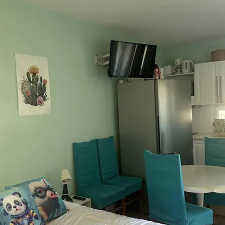 Renove Proche Des Cures Avec Climatisation - Fr-1-680-45 Apartment *